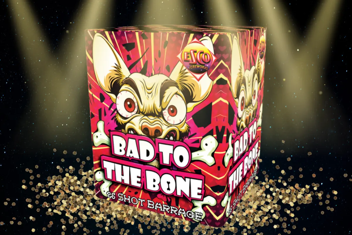 BAD TO THE BONE